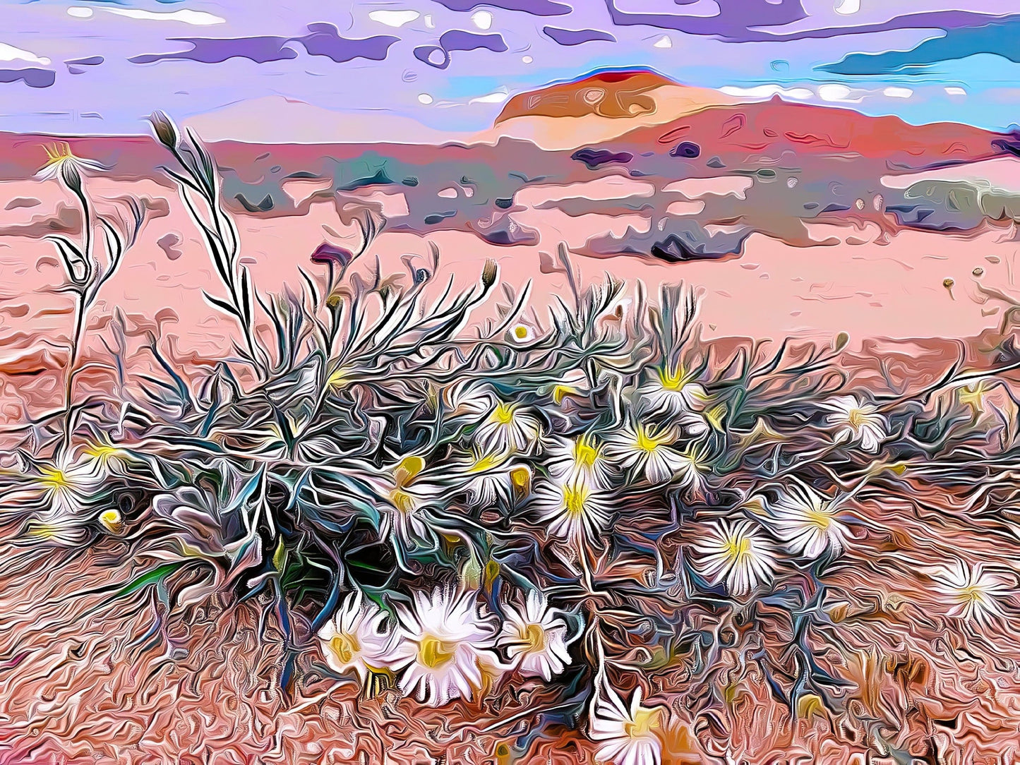 Blooming in the Desert shirleyadamsphotography