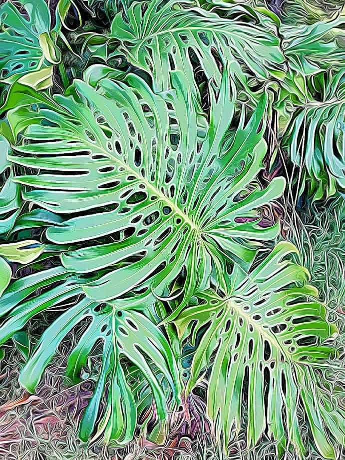 Leaf Shapes shirleyadamsphotography